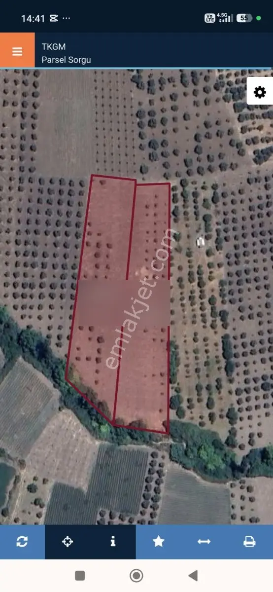 Akhisar Büknüşte Elektrik Sulu Yatırımlık 9.648 M2 Zeytinlik ! — fotoğraf 5