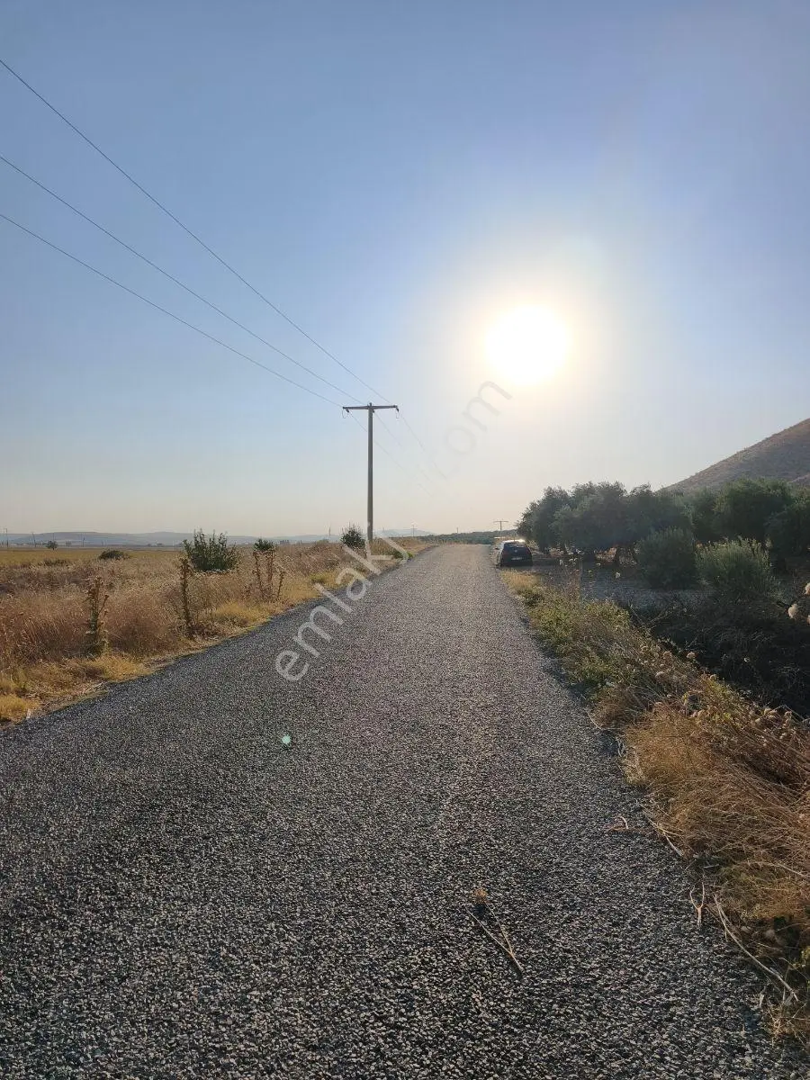 Akhisar'a 7 Km Uzaklıkta 2.685 M2 Tek Tapu Satılık Zeytinlik — fotoğraf 17