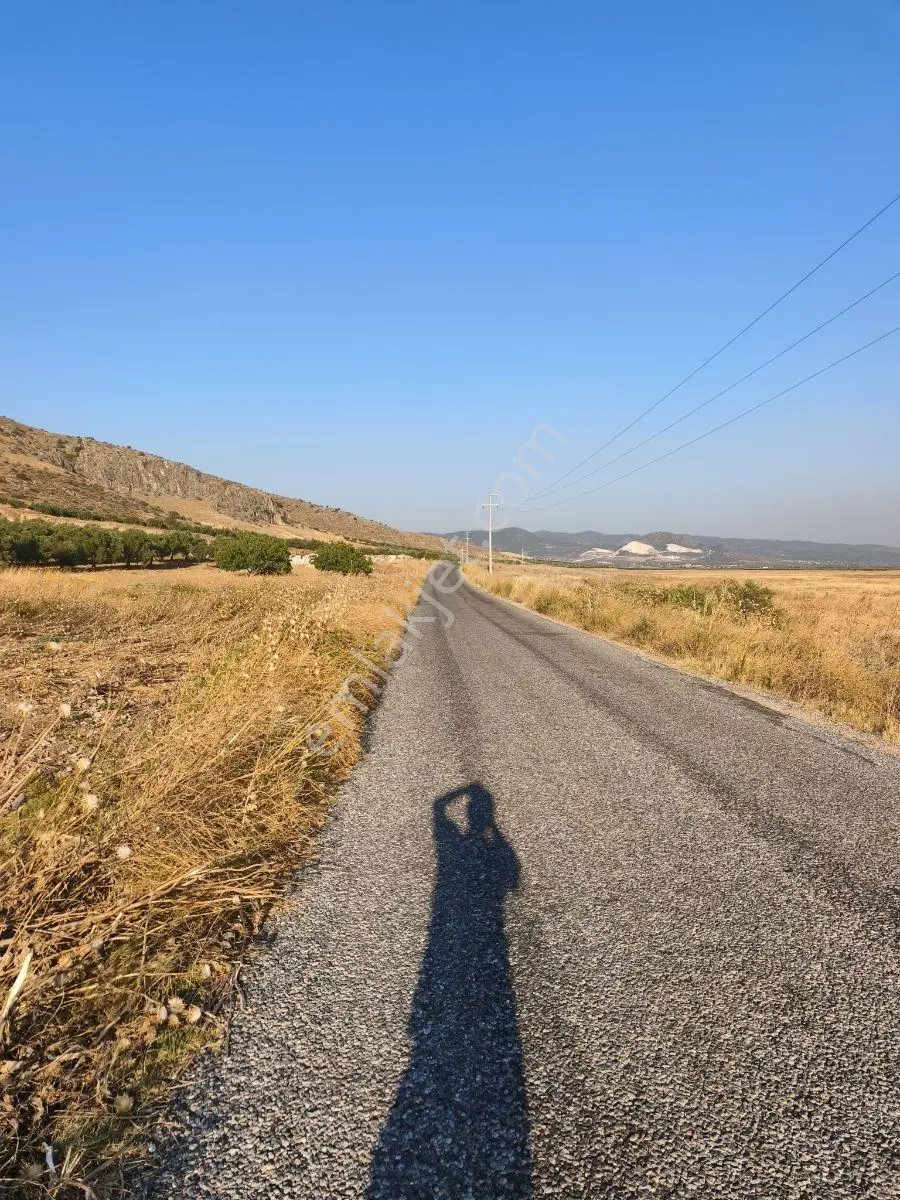 Akhisar'a 7 Km Uzaklıkta 2.685 M2 Tek Tapu Satılık Zeytinlik — fotoğraf 18