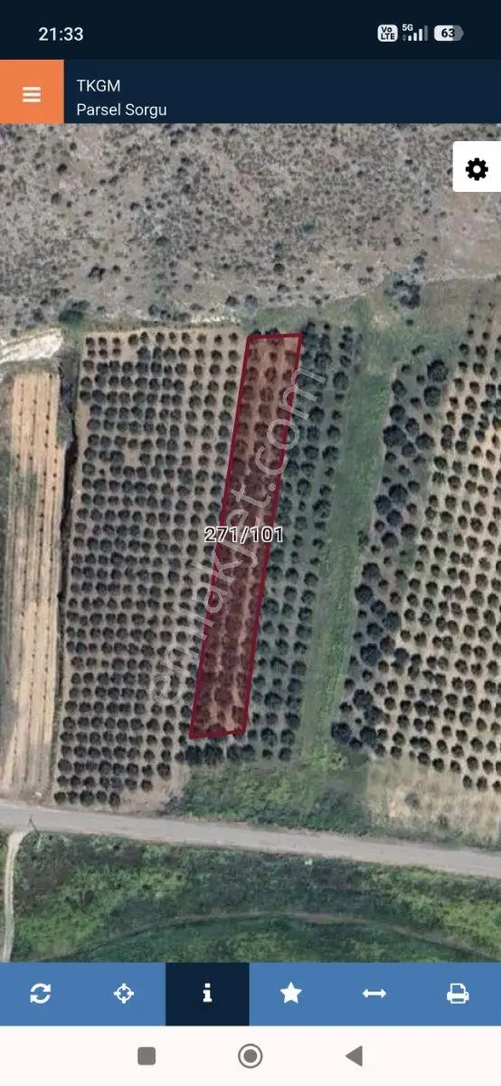 Akhisar'a 7 Km Uzaklıkta 2.685 M2 Tek Tapu Satılık Zeytinlik — fotoğraf 28