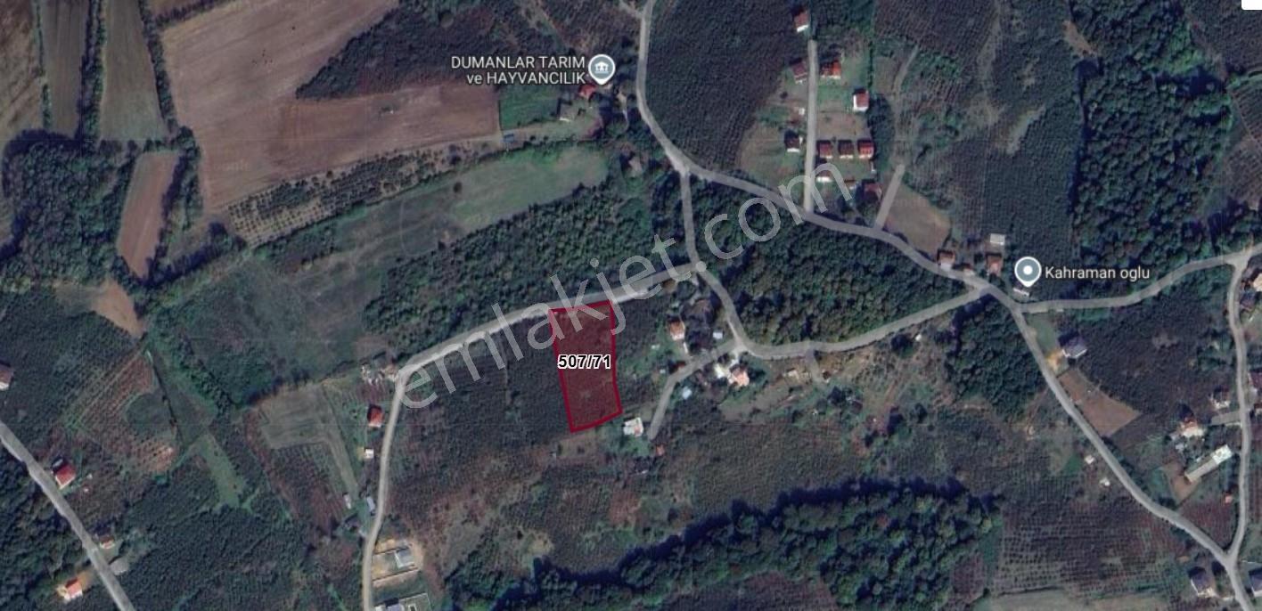 Sakarya Kaynarca Arifağada %40 İmarli Müstakil Satılık Arsa