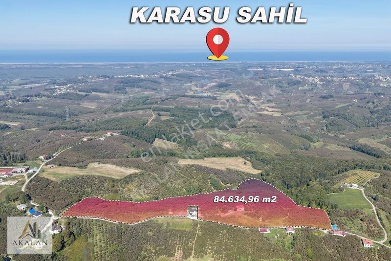 Karasu'Da Mükemmel Konumda 85 Dönüm Denize Yakın Fındık Bahçesi