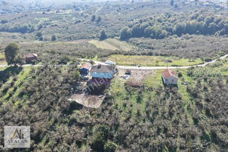 Karasu'da Mükemmel Konumda 85 Dönüm Denize Yakın Fındık Bahçesi — fotoğraf 24