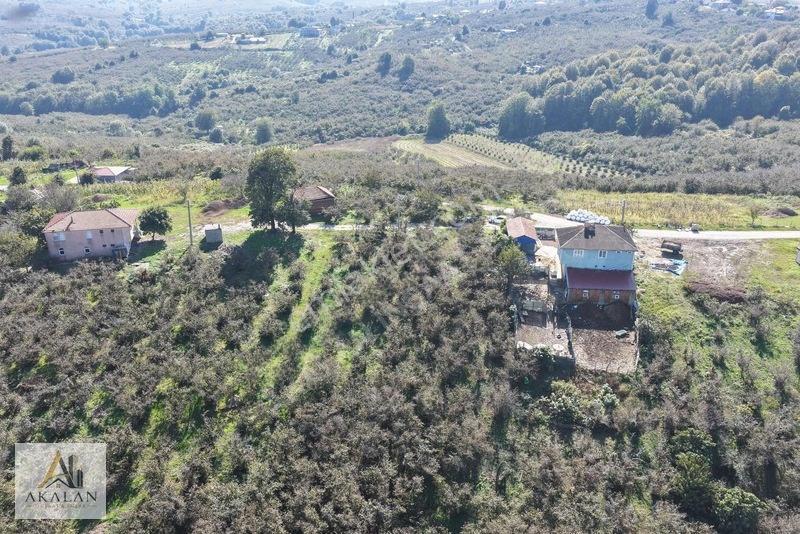 Karasu'da Mükemmel Konumda 85 Dönüm Denize Yakın Fındık Bahçesi — fotoğraf 25