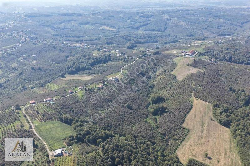 Karasu'da Mükemmel Konumda 85 Dönüm Denize Yakın Fındık Bahçesi — fotoğraf 26