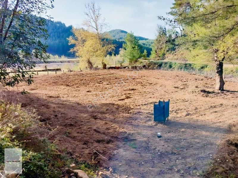Taşkesiği Köyünde Satılık Tek Tapu Arazi Fırsatı