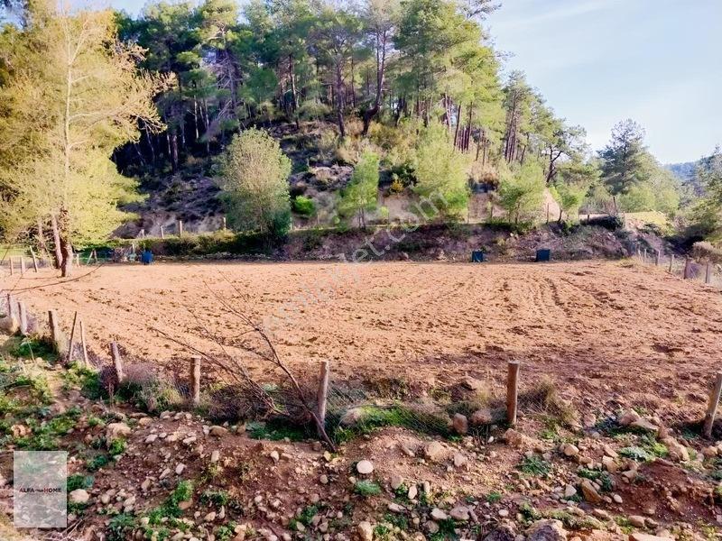 Taşkesiği Köyünde Satılık Tek Tapu Arazi Fırsatı — fotoğraf 2