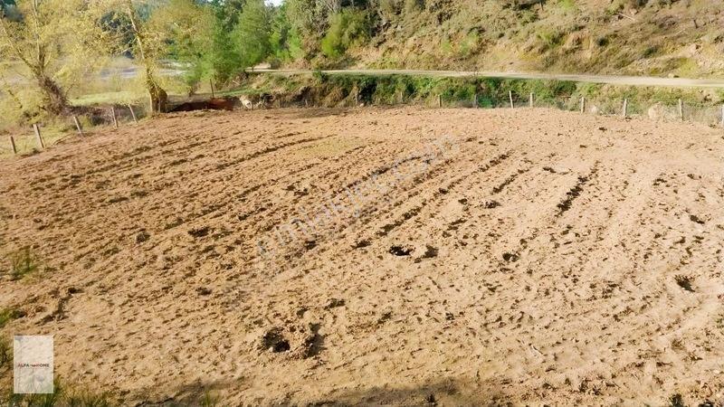 Taşkesiği Köyünde Satılık Tek Tapu Arazi Fırsatı — fotoğraf 3