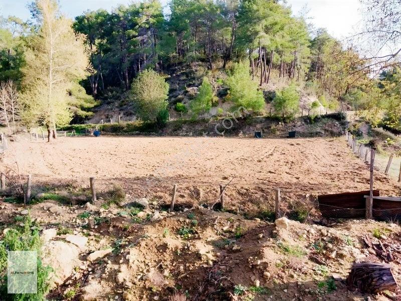 Taşkesiği Köyünde Satılık Tek Tapu Arazi Fırsatı — fotoğraf 5