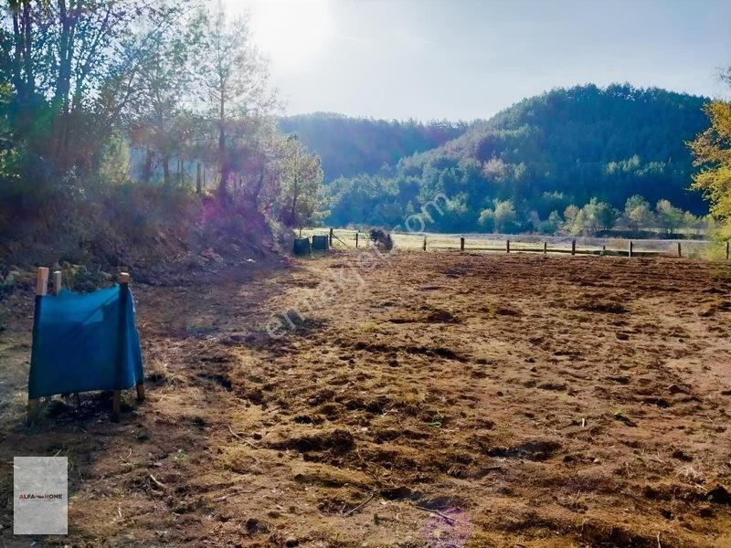 Taşkesiği Köyünde Satılık Tek Tapu Arazi Fırsatı — fotoğraf 6