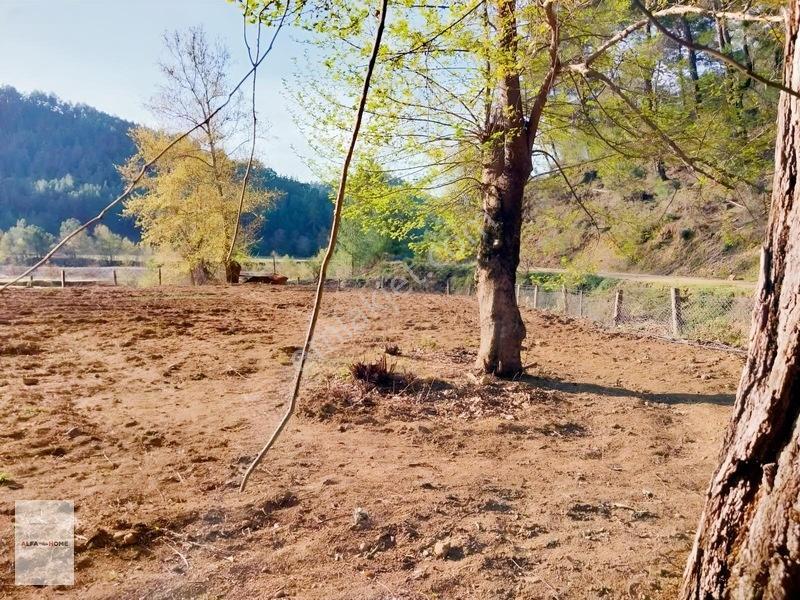Taşkesiği Köyünde Satılık Tek Tapu Arazi Fırsatı — fotoğraf 8
