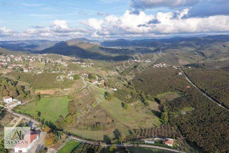 2.206 M2 Asfalta Cepheli %40 - 2 Kat İmarlı Güzel Konumda Arsa — fotoğraf 25