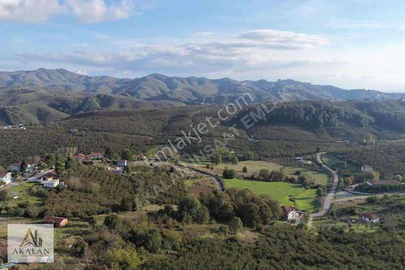 2.206 M2 Asfalta Cepheli %40 - 2 Kat İmarlı Güzel Konumda Arsa — fotoğraf 31