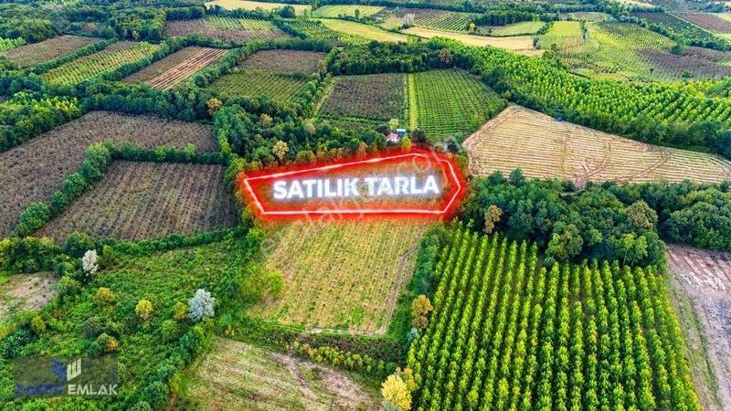 Zafer Emlak'Tan Satılık 5.097 M2 Tarla