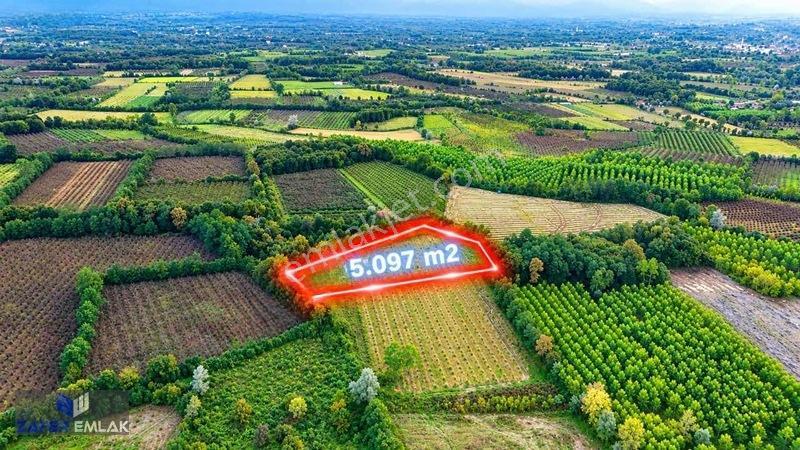 Zafer Emlak'tan Satılık 5.097 M2 Tarla — fotoğraf 2