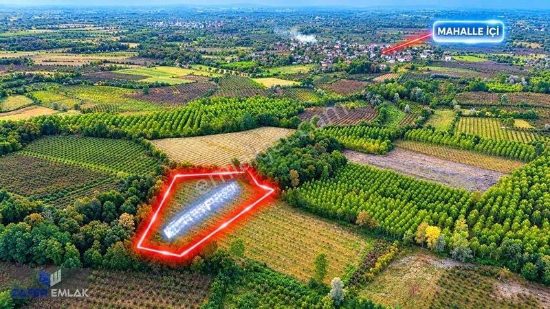Zafer Emlak'tan Satılık 5.097 M2 Tarla — fotoğraf 3