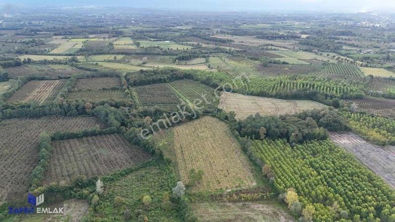 Zafer Emlak'tan Satılık 5.097 M2 Tarla — fotoğraf 6
