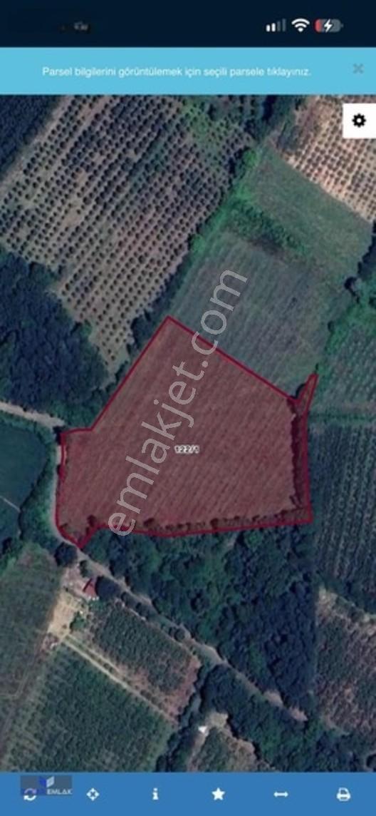 Zafer Emlak'tan Satılık 5.097 M2 Tarla — fotoğraf 8