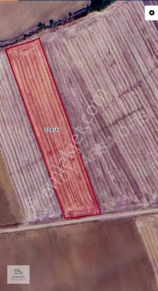 Selçuk Köyü Kenarında Kadastro Yollu 9.592 M² Tarla — fotoğraf 2