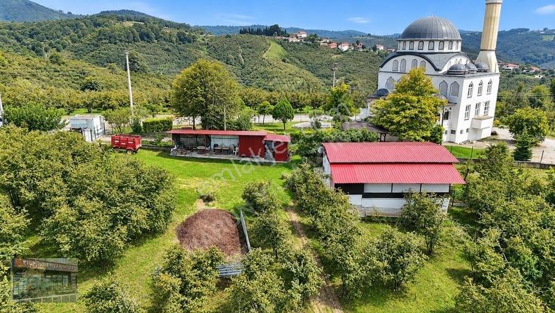 Harun Yılmaz İnşaat'Tan 8000 M²/ 2+1 Evli, Depolu Fındıklık