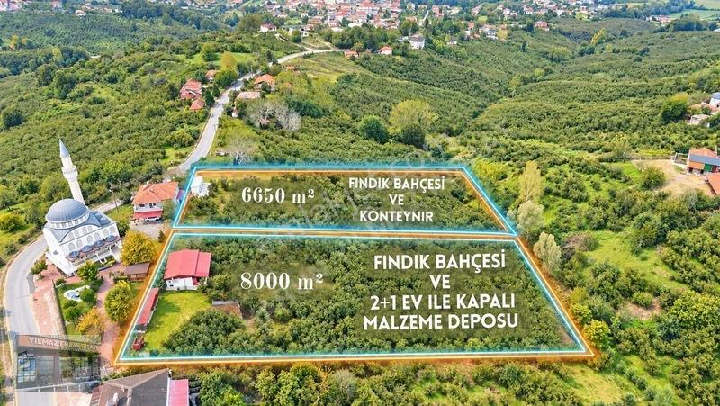 Harun Yılmaz İnşaat'tan 8000 M²/ 2+1 Evli, Depolu Fındıklık — fotoğraf 2