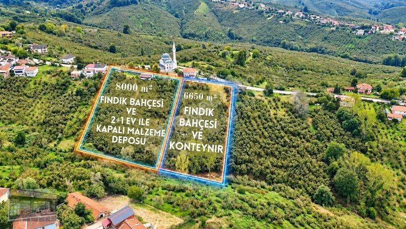 Harun Yılmaz İnşaat'tan 8000 M²/ 2+1 Evli, Depolu Fındıklık — fotoğraf 3