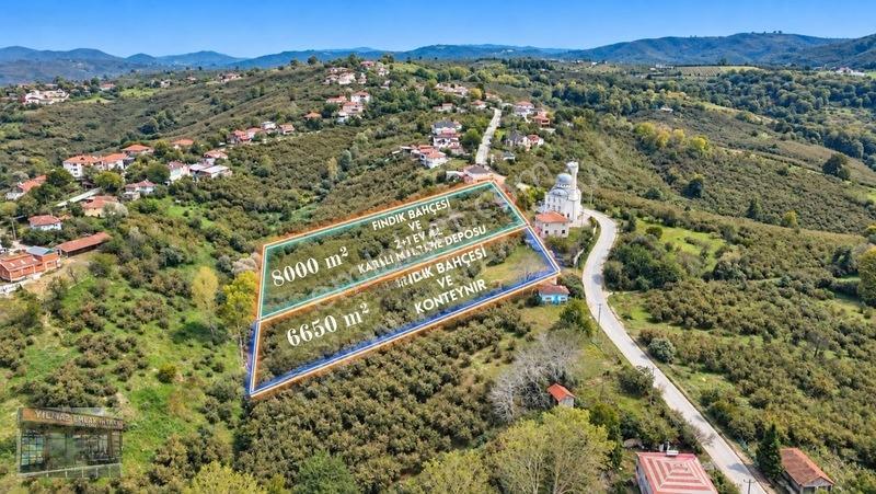 Harun Yılmaz İnşaat'tan 8000 M²/ 2+1 Evli, Depolu Fındıklık — fotoğraf 4