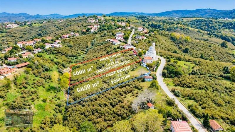 Harun Yılmaz İnşaat'tan 8000 M²/ 2+1 Evli, Depolu Fındıklık — fotoğraf 5