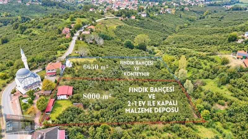 Harun Yılmaz İnşaat'tan 8000 M²/ 2+1 Evli, Depolu Fındıklık — fotoğraf 6