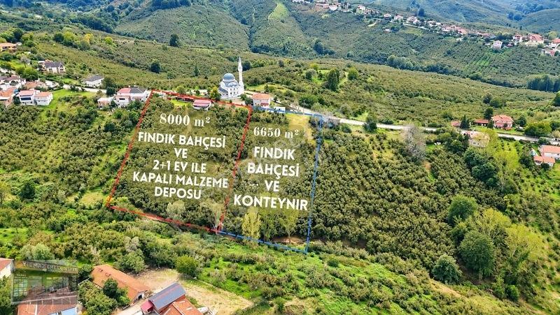 Harun Yılmaz İnşaat'tan 8000 M²/ 2+1 Evli, Depolu Fındıklık — fotoğraf 7
