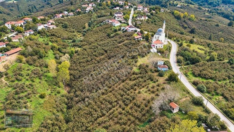 Harun Yılmaz İnşaat'tan 8000 M²/ 2+1 Evli, Depolu Fındıklık — fotoğraf 9