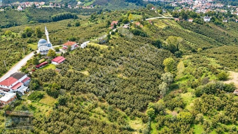 Harun Yılmaz İnşaat'tan 8000 M²/ 2+1 Evli, Depolu Fındıklık — fotoğraf 13