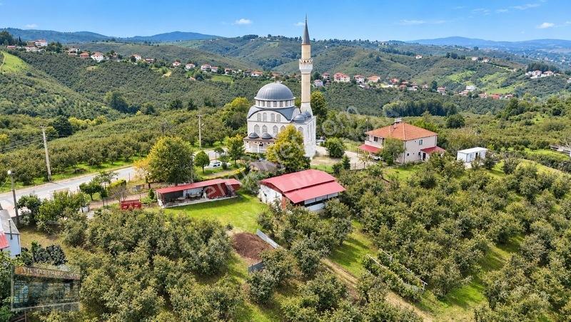 Harun Yılmaz İnşaat'tan 8000 M²/ 2+1 Evli, Depolu Fındıklık — fotoğraf 16