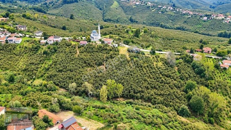 Harun Yılmaz İnşaat'tan 8000 M²/ 2+1 Evli, Depolu Fındıklık — fotoğraf 18