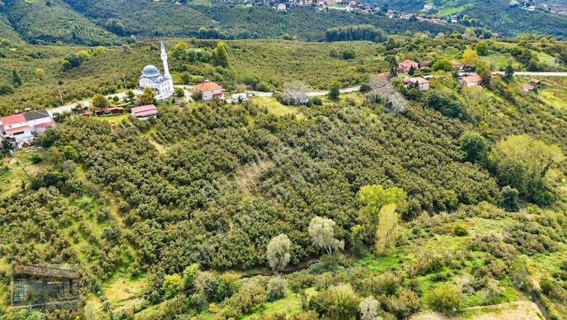 Harun Yılmaz İnşaat'tan 8000 M²/ 2+1 Evli, Depolu Fındıklık — fotoğraf 19
