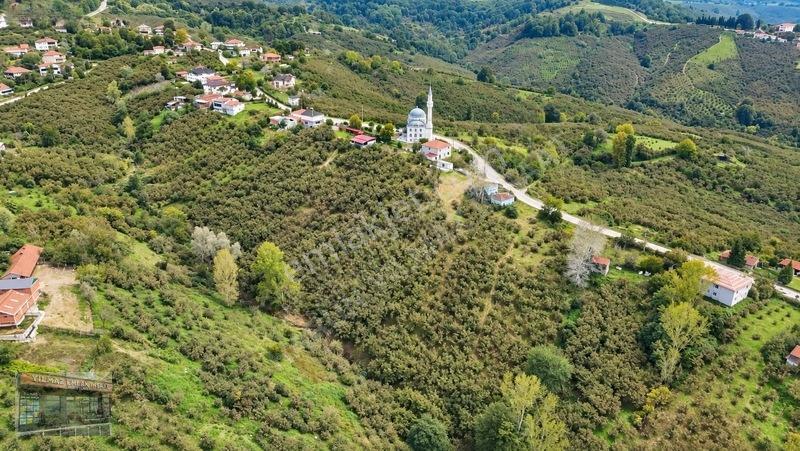Harun Yılmaz İnşaat'tan 8000 M²/ 2+1 Evli, Depolu Fındıklık — fotoğraf 21