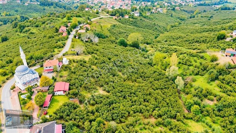 Harun Yılmaz İnşaat'tan 8000 M²/ 2+1 Evli, Depolu Fındıklık — fotoğraf 22