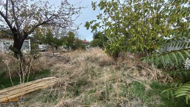 Beyceğiz Yeni Yerleşimde 700 M2 Müstakil Tapulu Arsa — fotoğraf 9