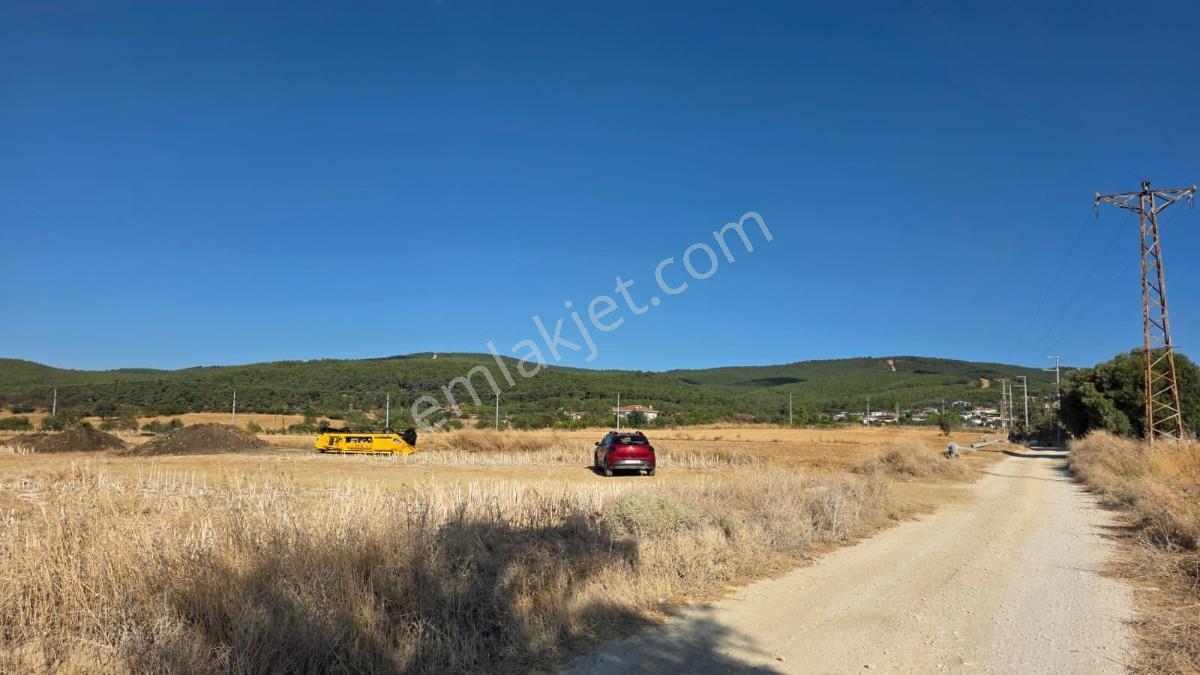 Saros Körfezi Manzaralı Adilhan Köyünde 2.680 M² Satılık Tarla — fotoğraf 8