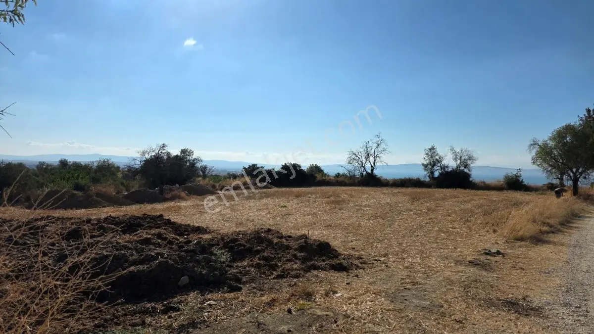 Saros Körfezi Manzaralı Adilhan Köyünde 2.680 M² Satılık Tarla — fotoğraf 11