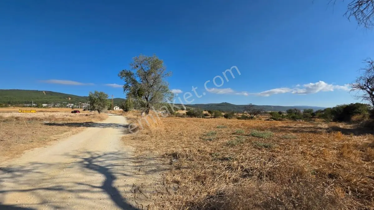 Saros Körfezi Manzaralı Adilhan Köyünde 2.680 M² Satılık Tarla — fotoğraf 12