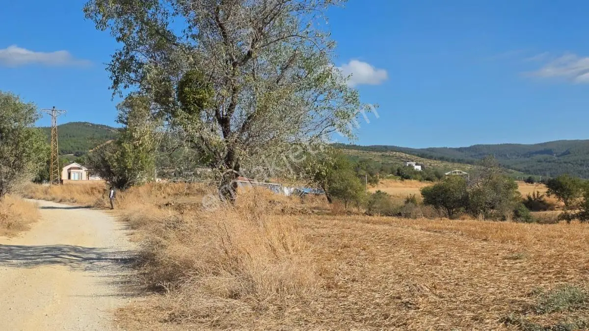 Saros Körfezi Manzaralı Adilhan Köyünde 2.680 M² Satılık Tarla — fotoğraf 23