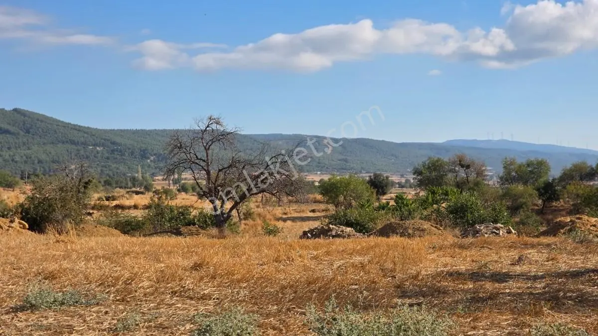 Saros Körfezi Manzaralı Adilhan Köyünde 2.680 M² Satılık Tarla — fotoğraf 25