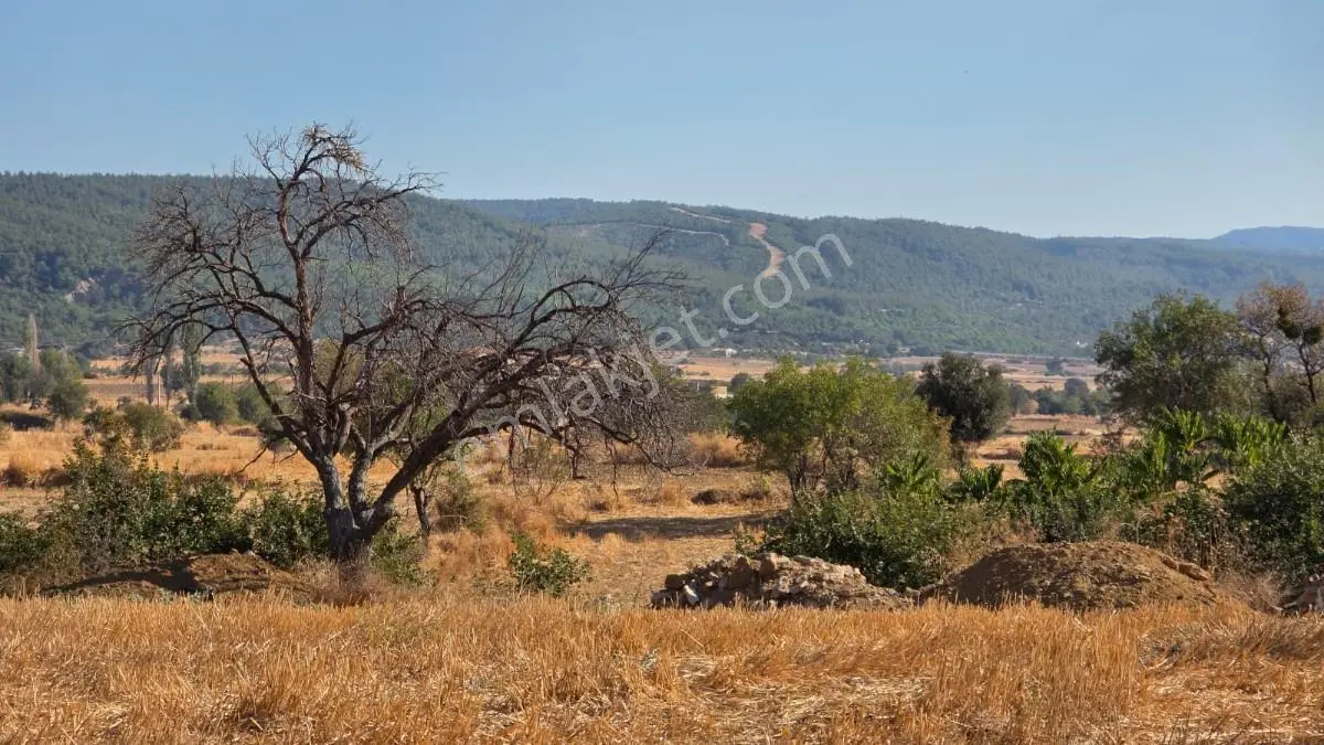 Saros Körfezi Manzaralı Adilhan Köyünde 2.680 M² Satılık Tarla — fotoğraf 26