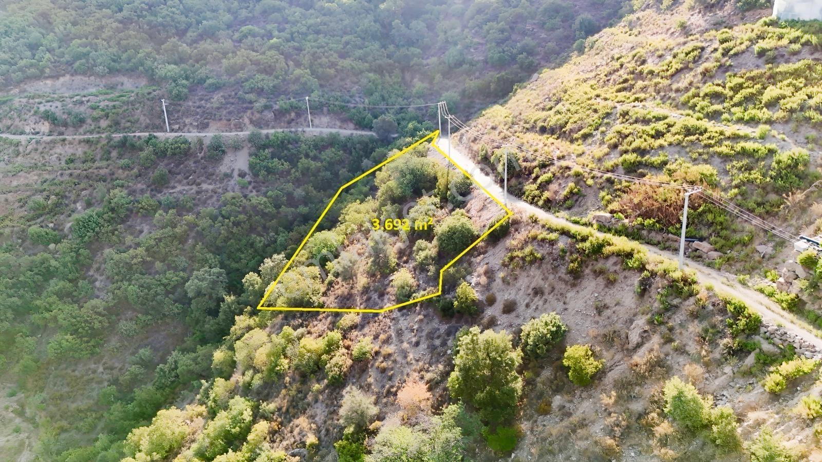 Satılık 3.692 M² Tarla, Alanya-güneyköy — fotoğraf 2
