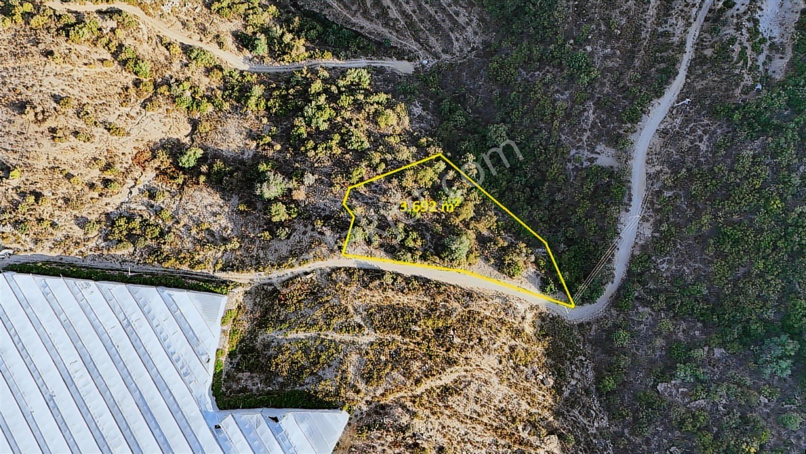 Satılık 3.692 M² Tarla, Alanya-güneyköy — fotoğraf 3