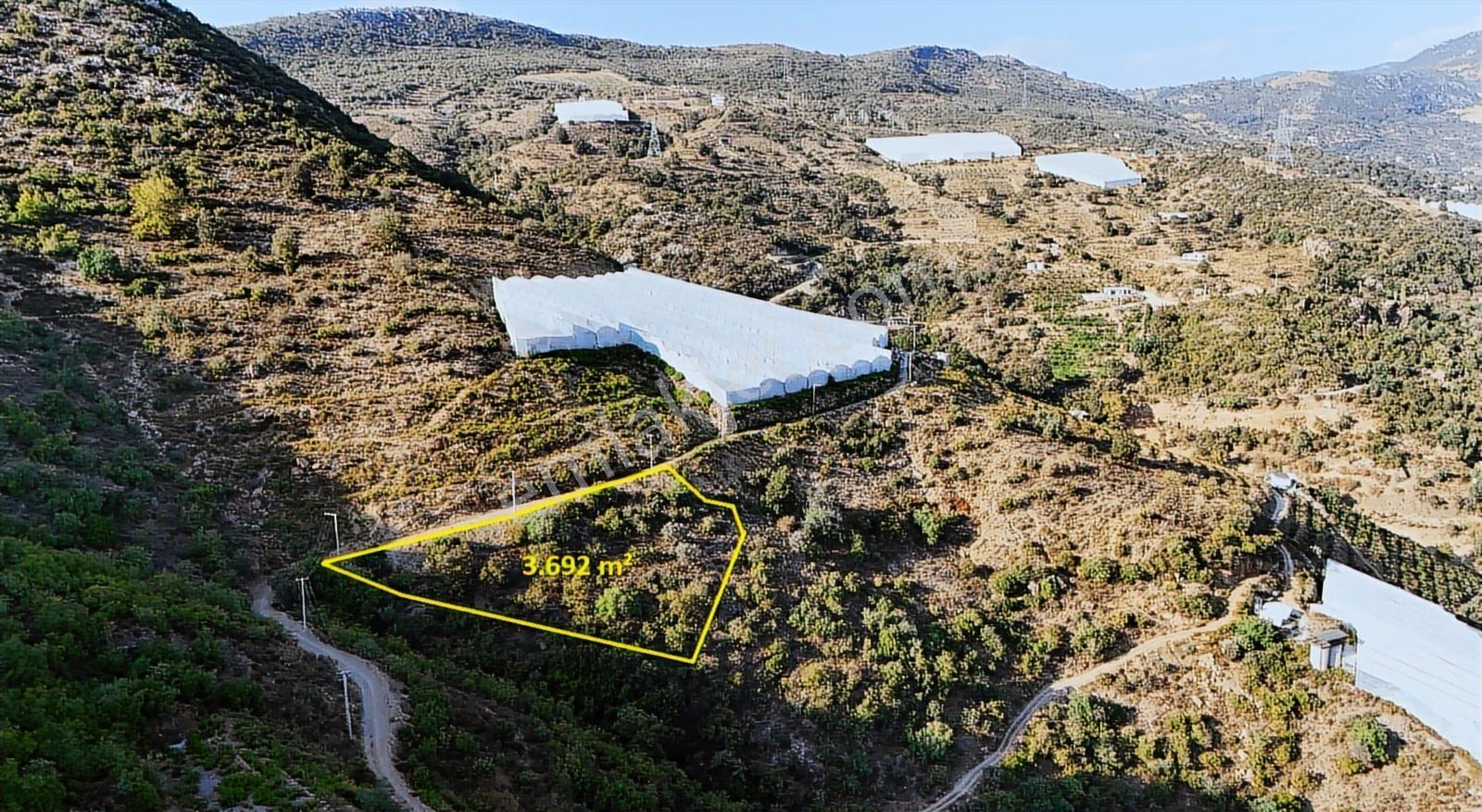 Satılık 3.692 M² Tarla, Alanya-güneyköy — fotoğraf 4