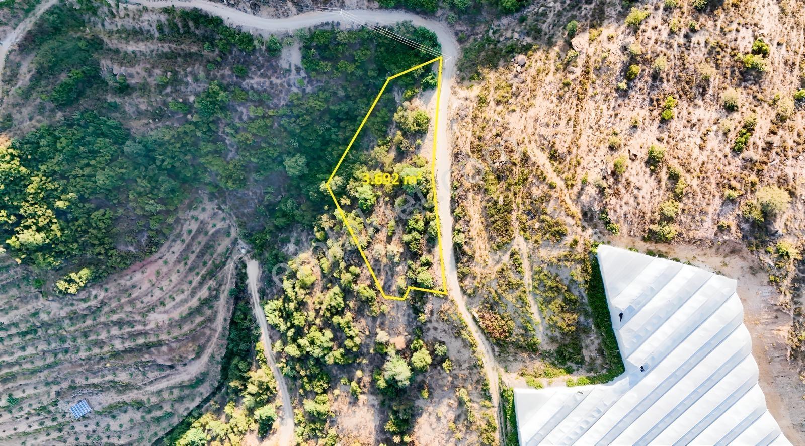 Satılık 3.692 M² Tarla, Alanya-güneyköy — fotoğraf 5
