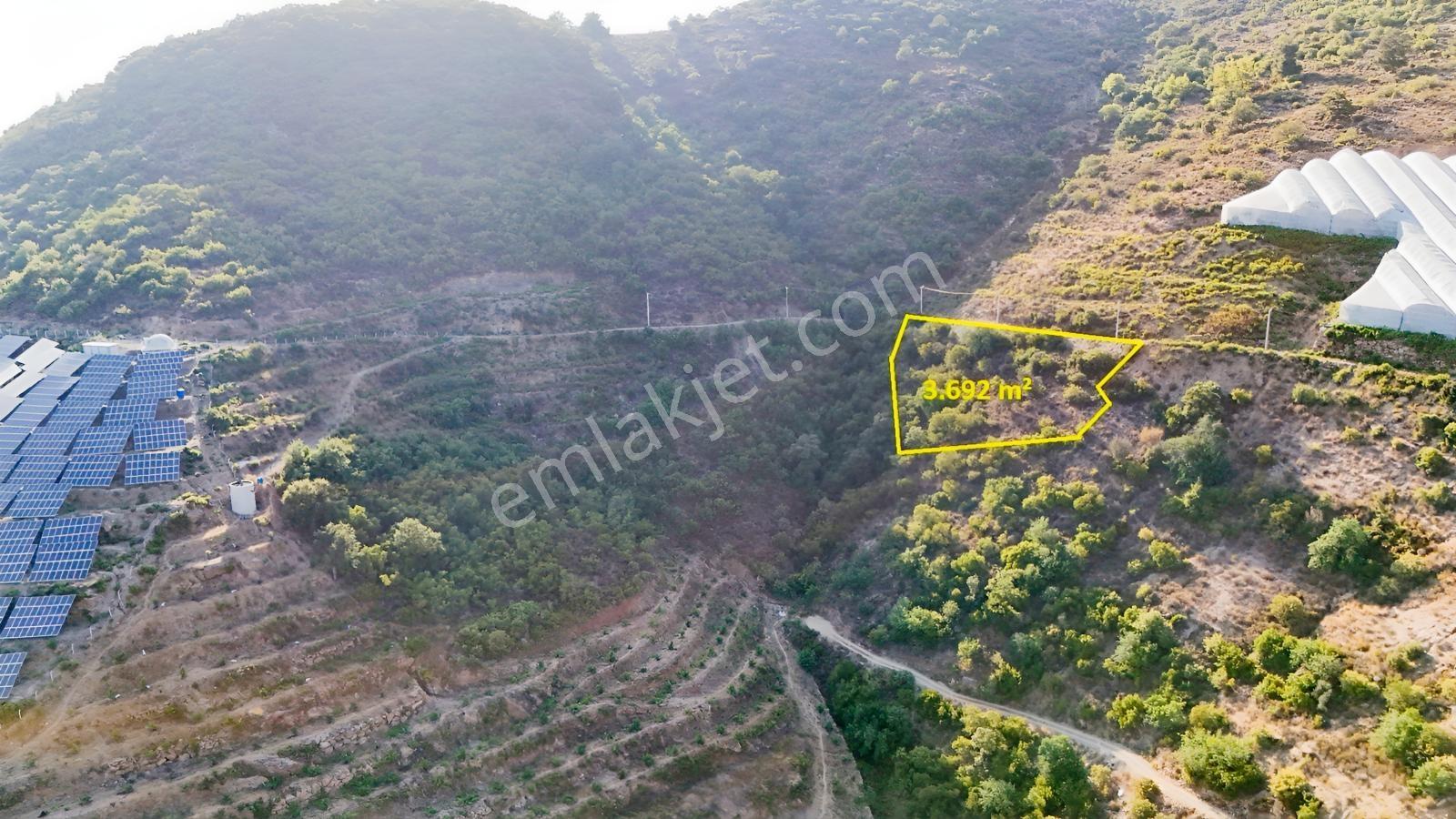 Satılık 3.692 M² Tarla, Alanya-güneyköy — fotoğraf 6