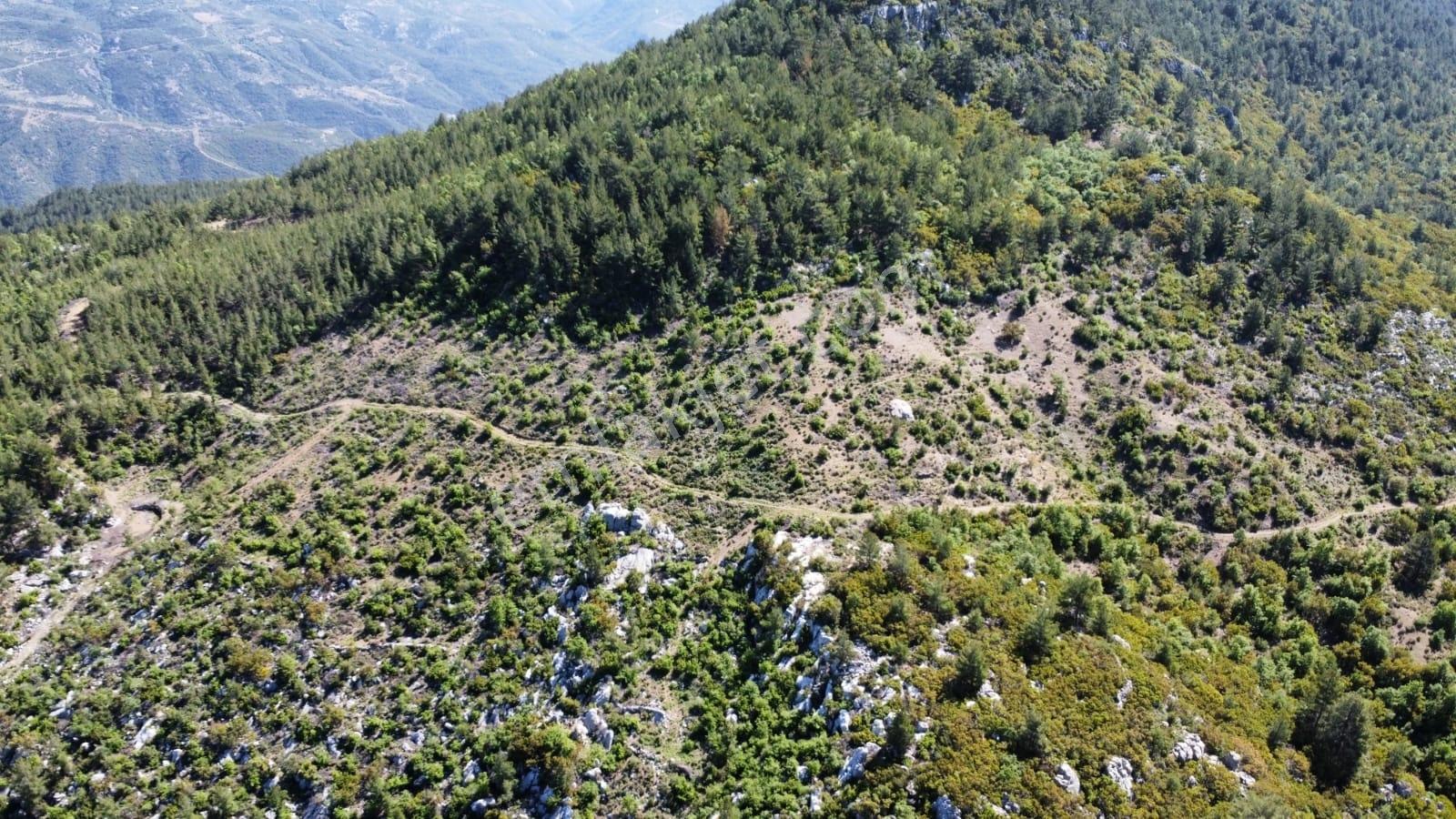 Gazipaşa Gürçam Mahallesi'Nde Satılık Tarla